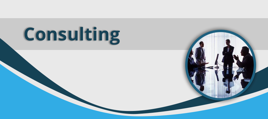 consulting-banner